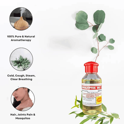 Eucalyptus Oil